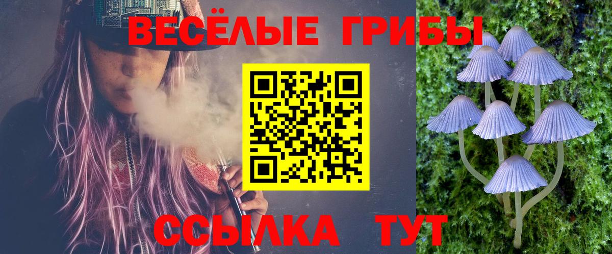 Гуково  Псилоцибиновые грибы прущие грибы  Вход с VPN  Галлюциногенные грибы ЛСД 